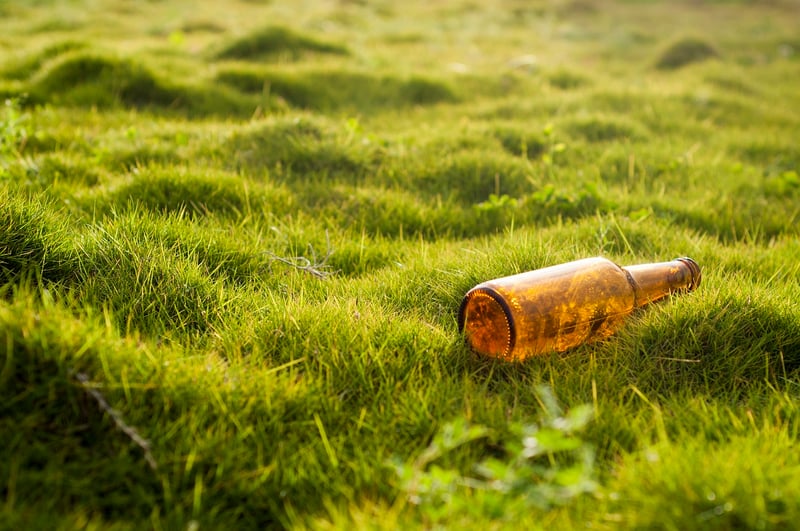 Upcycled Glass Bottle Planters